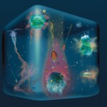 microbial-cube-oct2011