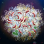 Mocrobial Communities Prime