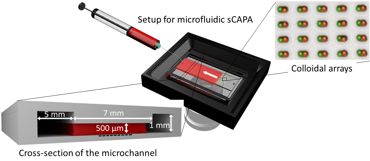 Roberto’s paper on sequential capillarity-assisted particle assembly was published in Lab on a Chip!